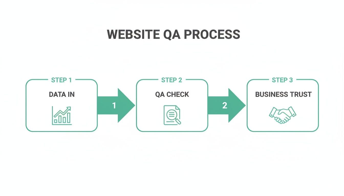 A flowchart outlines the website QA process with steps for data input, quality check, and building business trust.