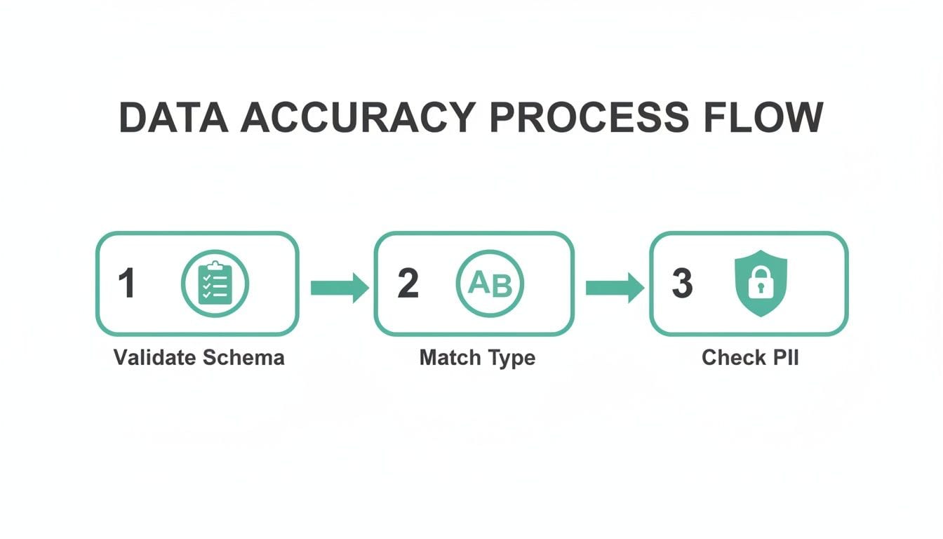 Process flow diagram outlining three data accuracy steps: Validate Schema, Match Type, and Check PII.
