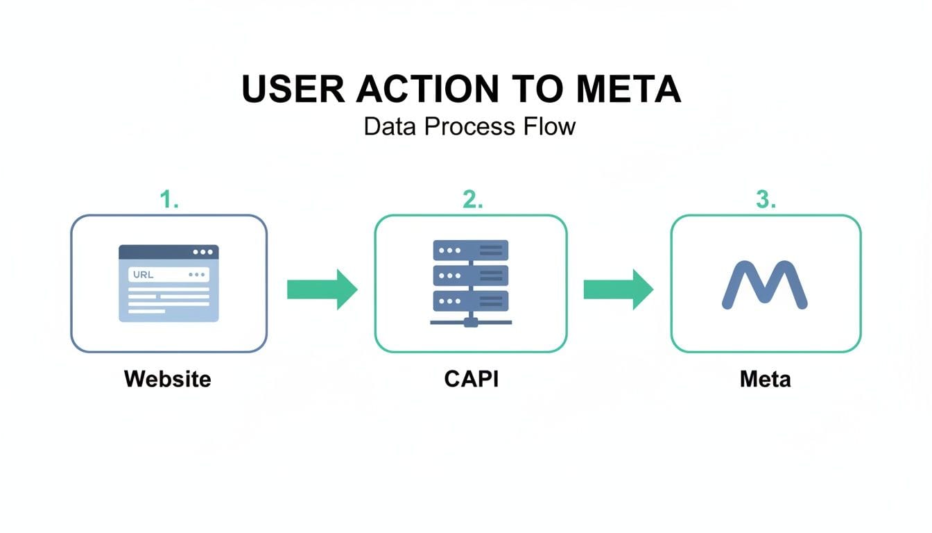 A diagram illustrating the data process flow from website user actions through CAPI to Meta.