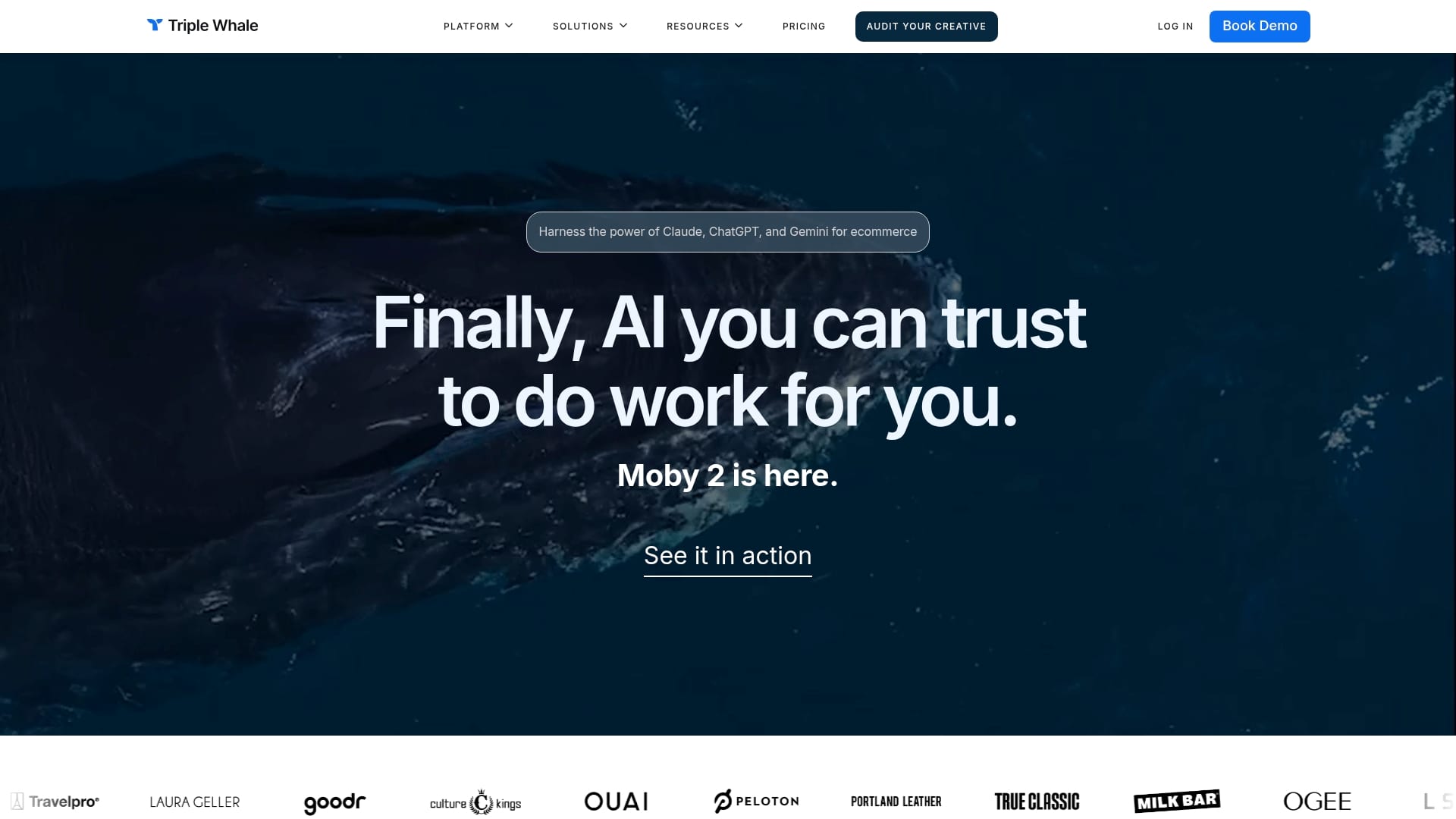 https://triplewhale.com